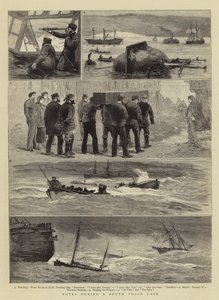 Notes pendant une tempête sur la côte sud